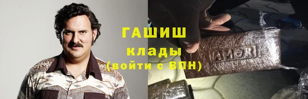 PSILOCYBIN Алзамай