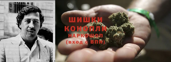 PSILOCYBIN Алзамай