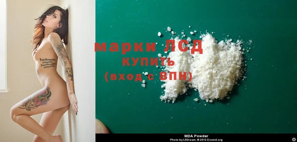 стафф Алексин
