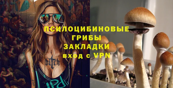 PSILOCYBIN Алзамай