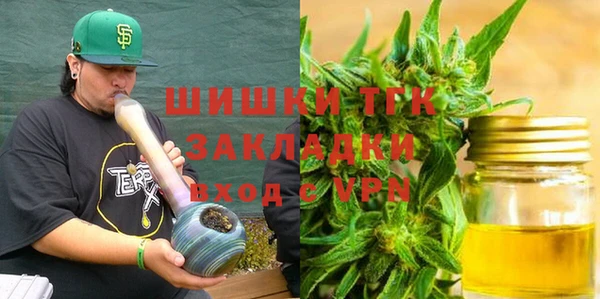 PSILOCYBIN Алзамай