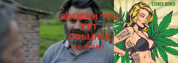 стафф Алексин